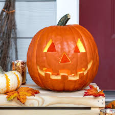 Claire's Pumpkin Patch - £150